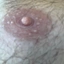 spbweb88