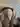 Telega@