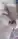 Rty1