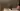 Ник