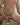 Paylo