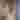 Fefy